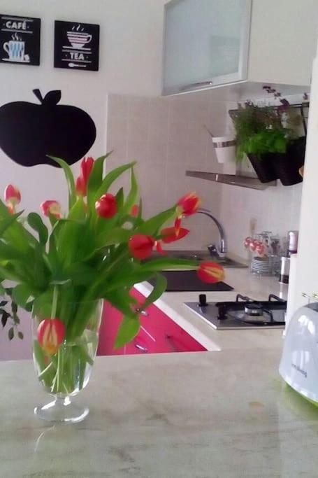 Alghero Siesta Vacanza Relax & Breakfast מראה חיצוני תמונה